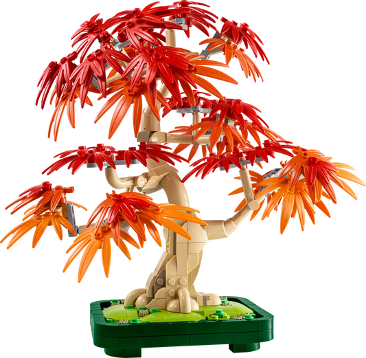 Botanicals: Japanese Red Maple Bonsai Tree Building Kit