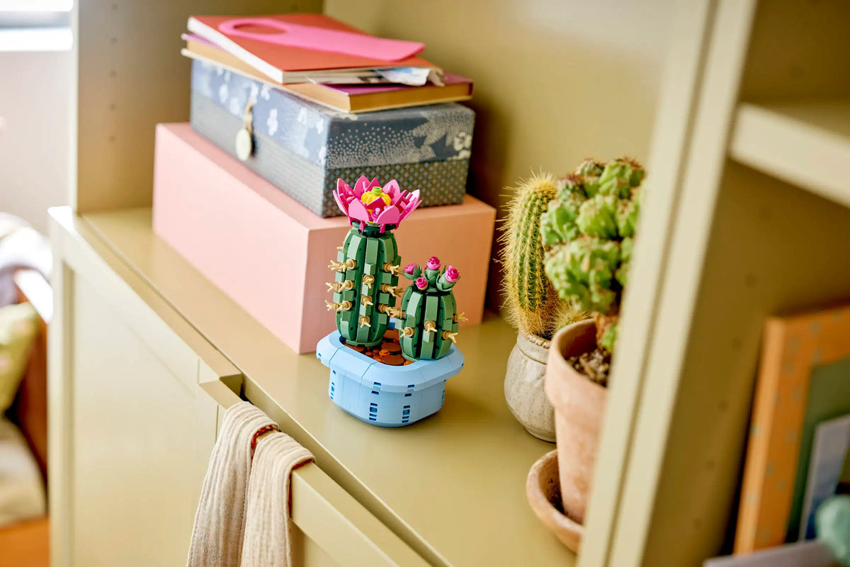 Botanical Collection: Flowering Cactus Building Kit