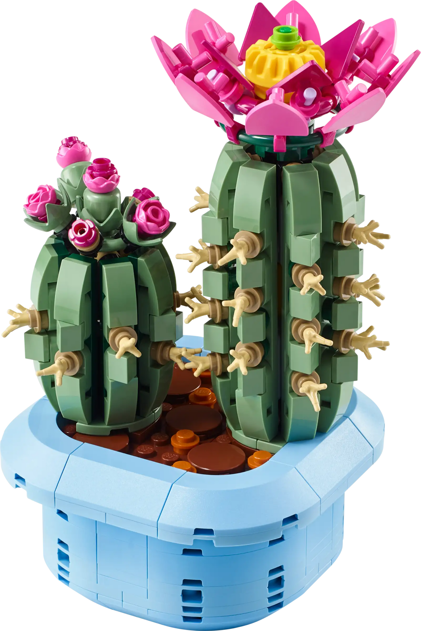 Botanical Collection: Flowering Cactus Building Kit