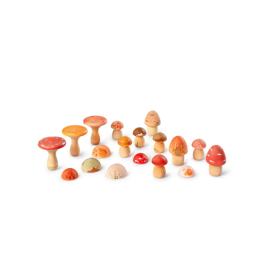 Wood Mushroom Grove