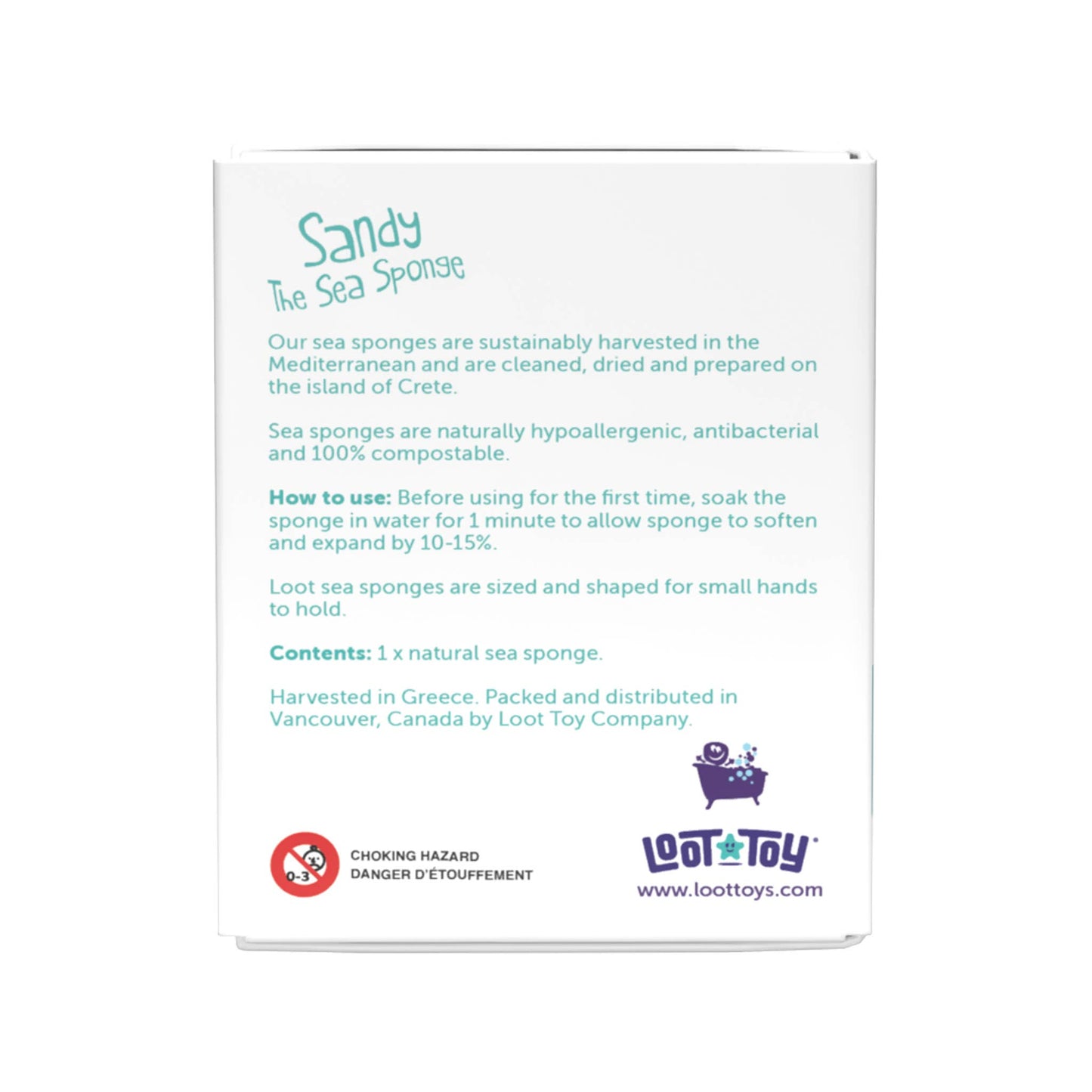 Sandy The Sea Sponge