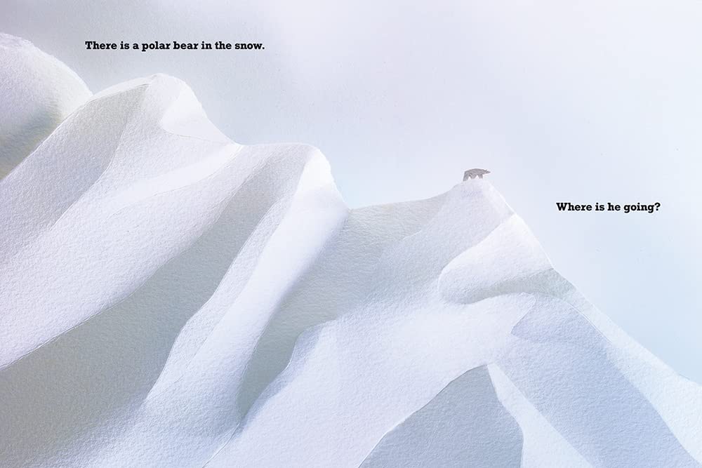 A Polar Bear in the Snow - Hardcover Picture Book