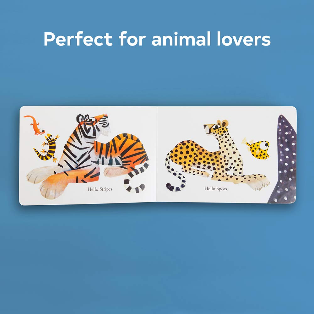 Hello Hello - Board Book