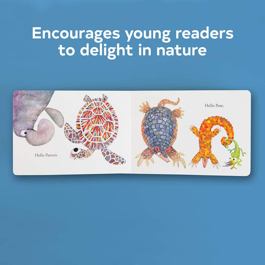 Hello Hello - Board Book