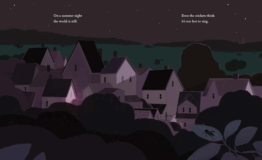 On a Summer Night - Hardcover Picture Book