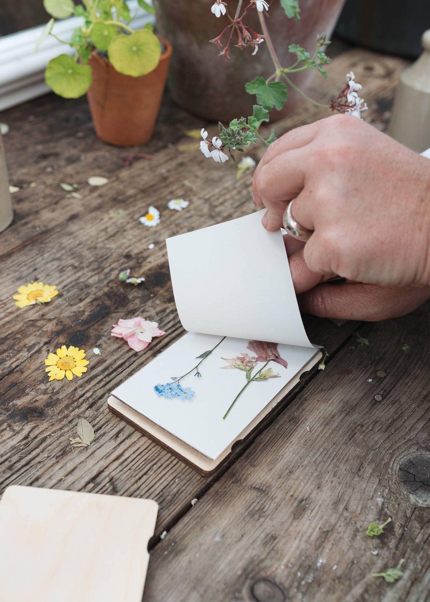 Christmas Pocket Flower Press