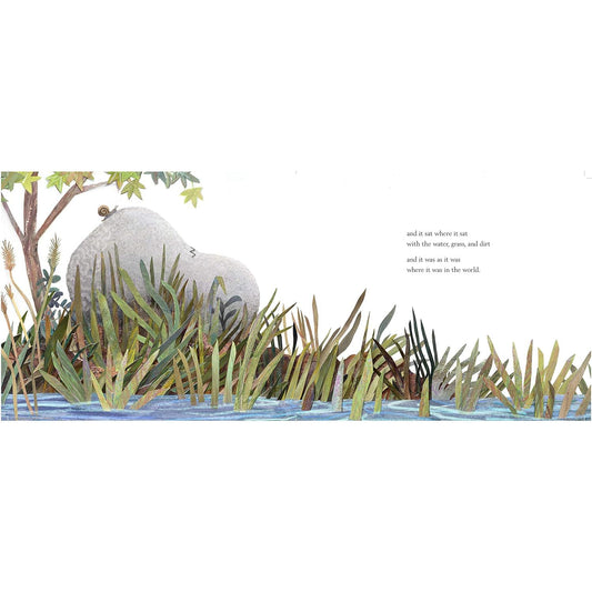 A Stone Sat Still - Hardcover Picture Book