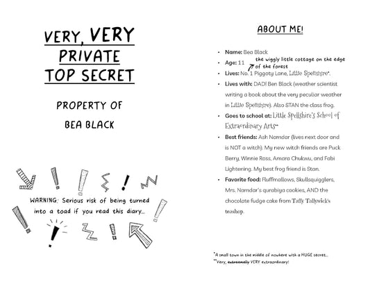 Diary of an Accidental Witch: Flying High (Book 3) - Paperback Novel