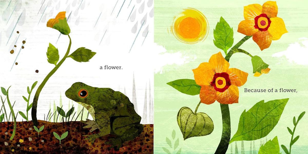 Because of an Acorn - Hardcover Picture Book