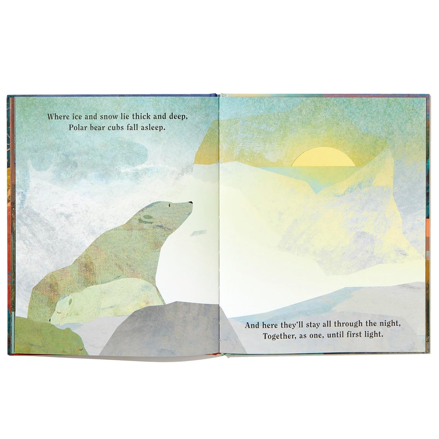 Family - A Peek-Through Hardcover Picture Book