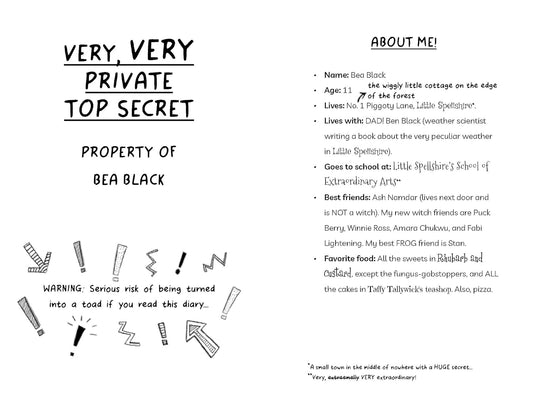 Diary of an Accidental Witch: Secret Spells (Book 4) - Paperback Novel