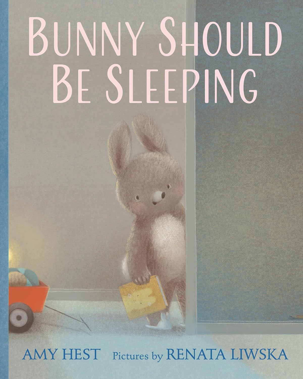Bunny Should Be Sleeping - Hardcover Picture Book