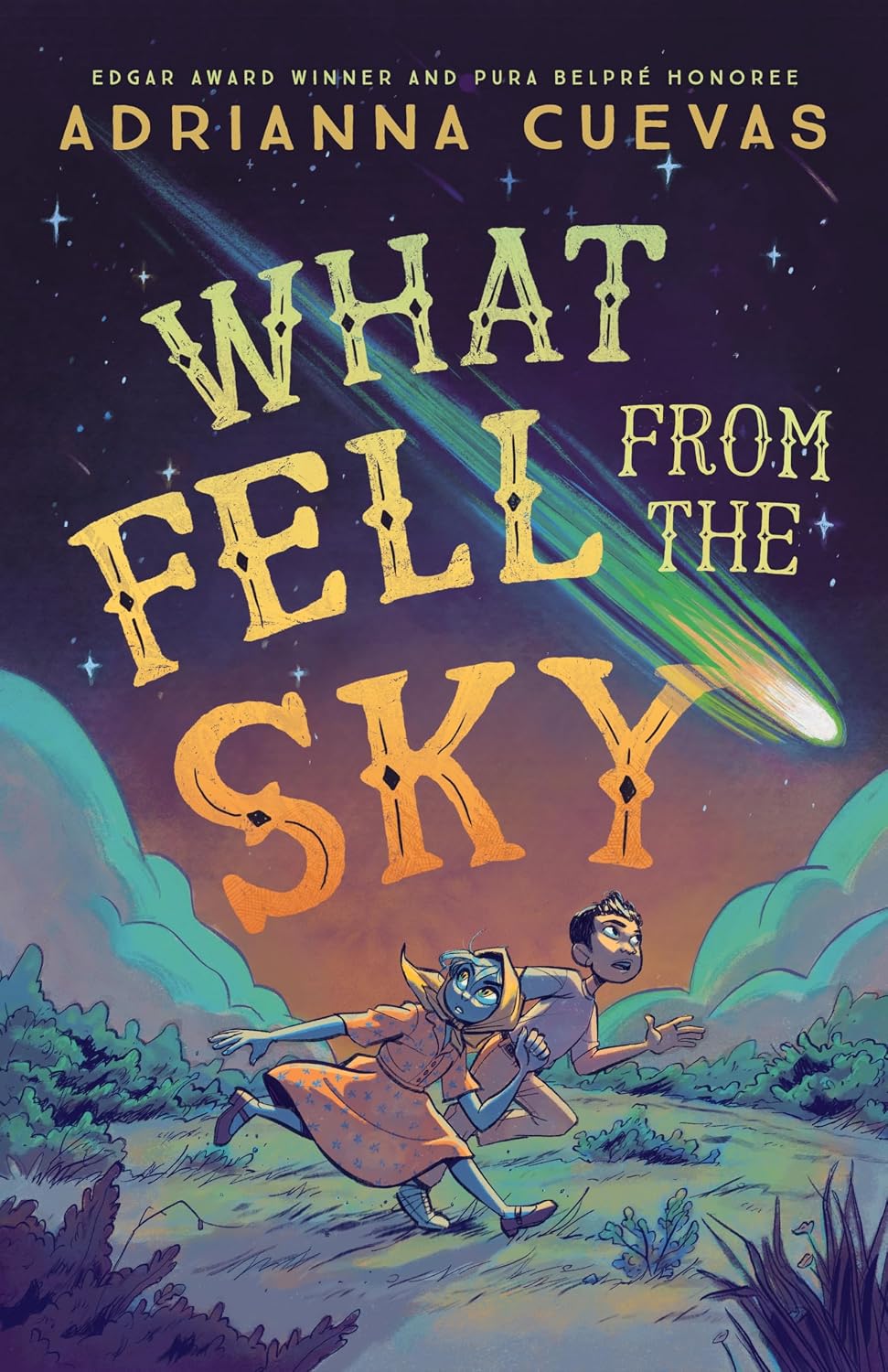 What Fell from the Sky - Paperback Novel