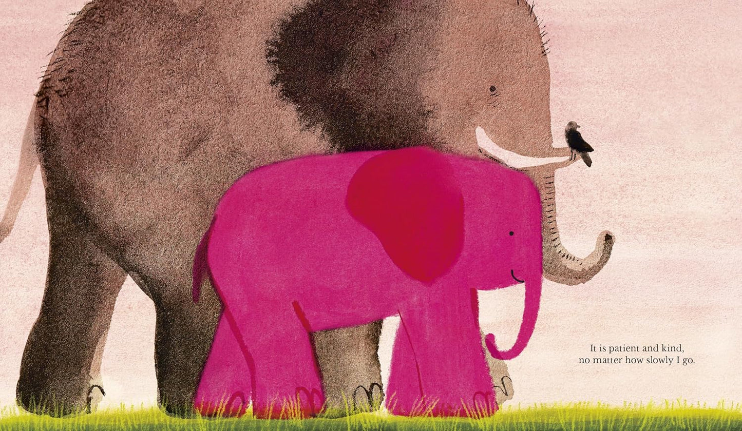 Our Love - Hardcover Picture Book