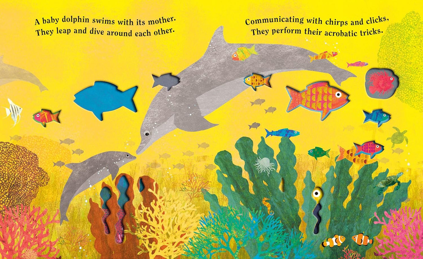 Ocean - A Peek-Through Board Book