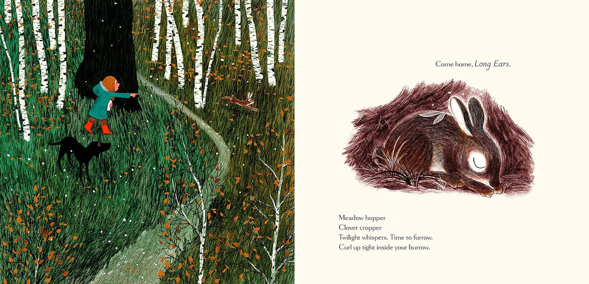Woodland Dreams - Hardcover Picture Book