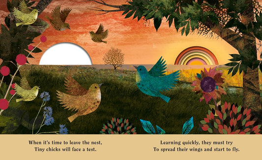 Family - A Peek-Through Hardcover Picture Book