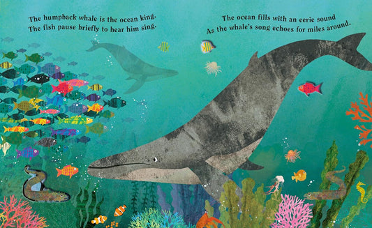 Ocean - A Peek-Through Board Book