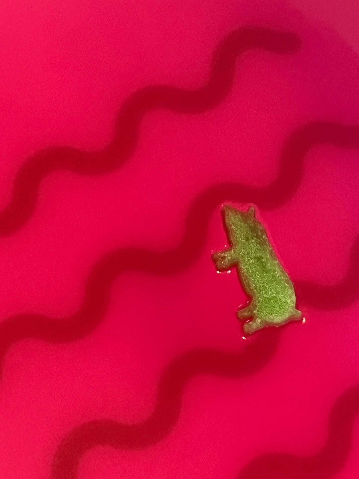 Spring Squigglers Bath Bombs (Limited Edition 3-pack)