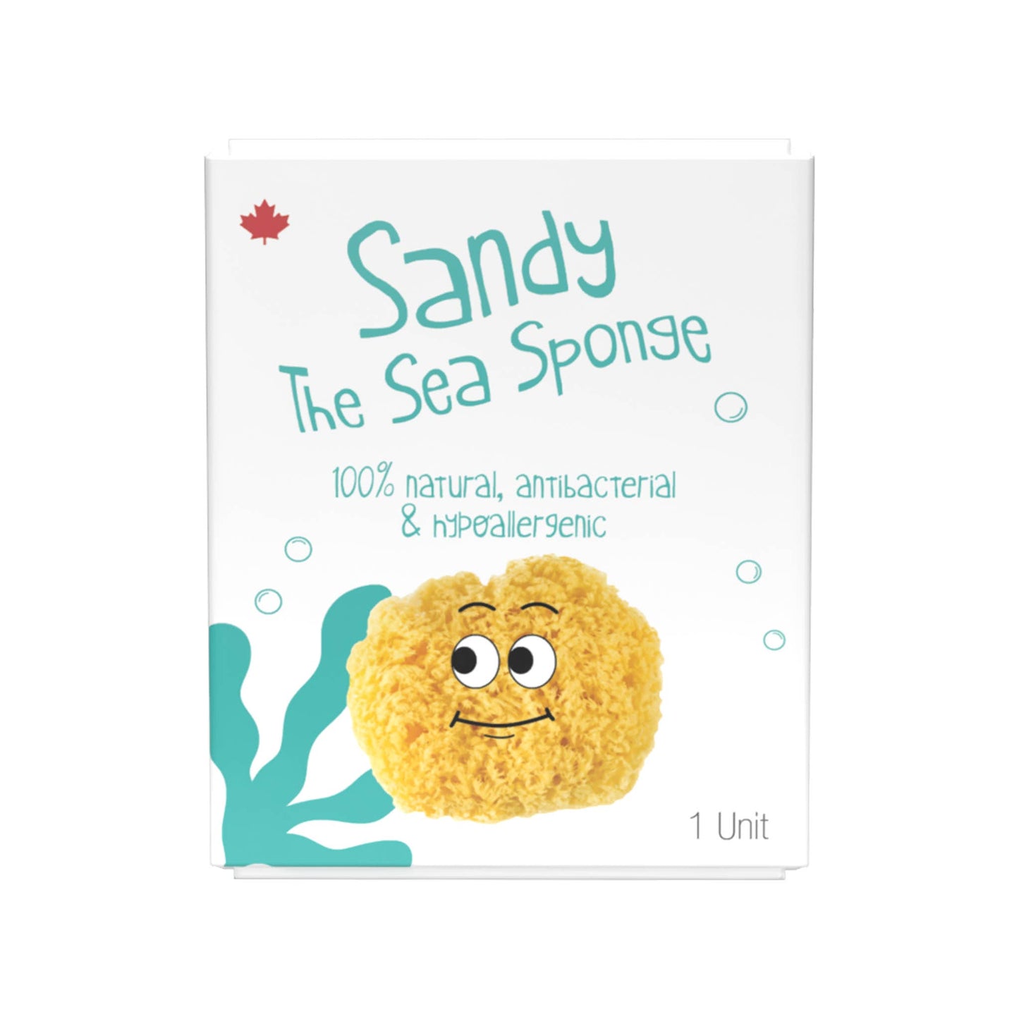 Sandy The Sea Sponge