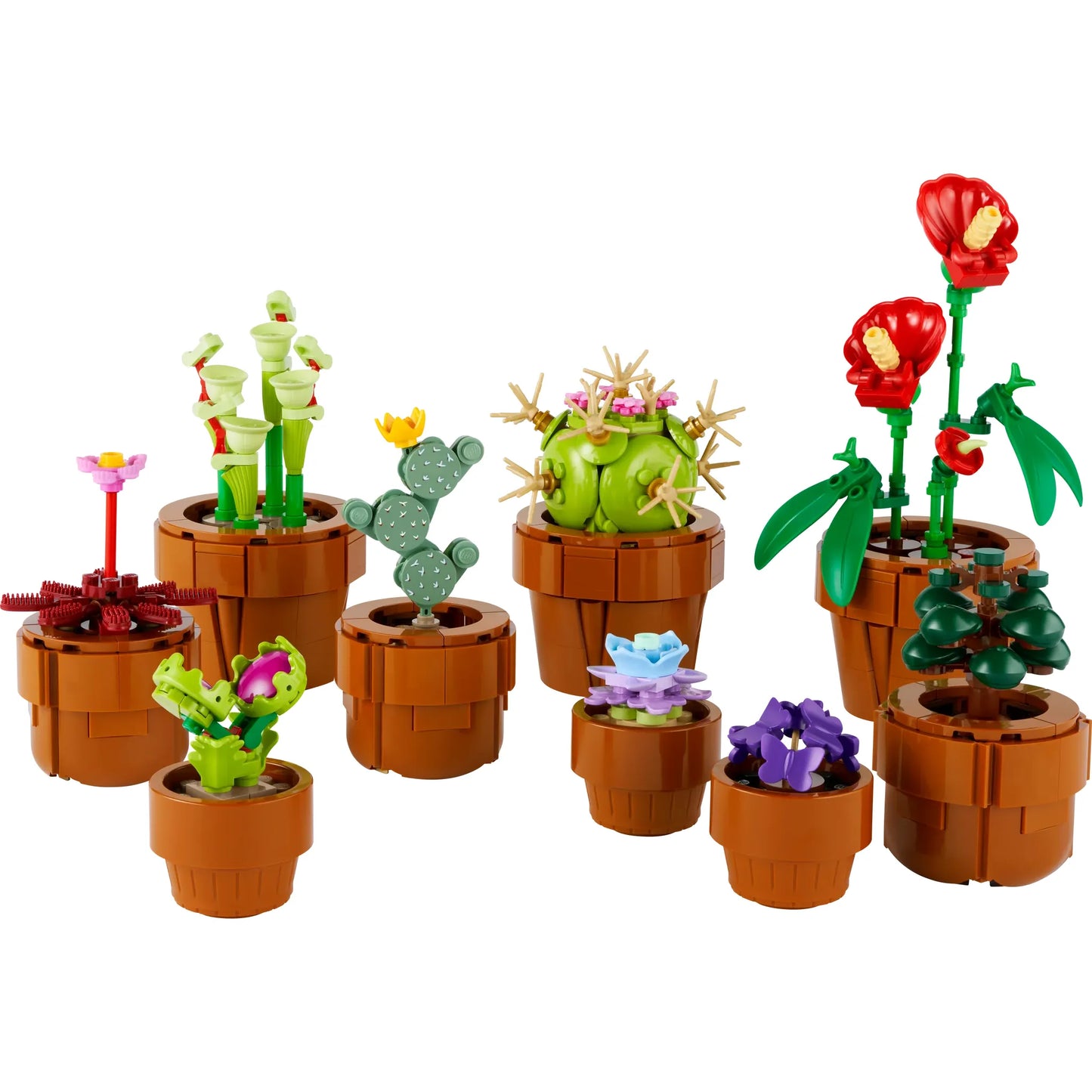 Botanical Collection: Tiny Plants Building Kit
