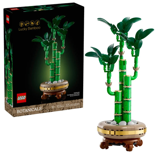 Botanical Collection: Lucky Bamboo Building Kit