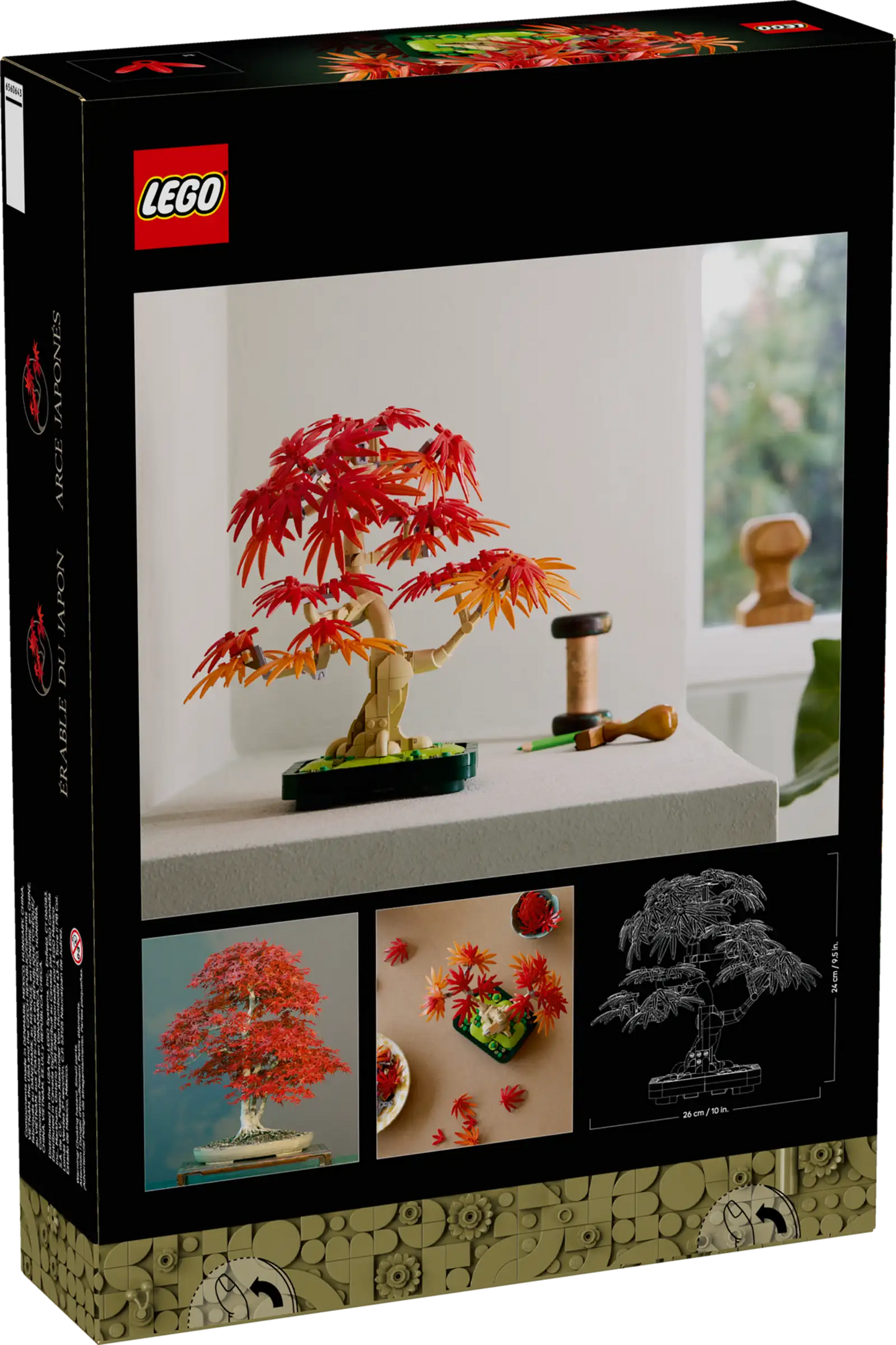 Botanicals: Japanese Red Maple Bonsai Tree Building Kit