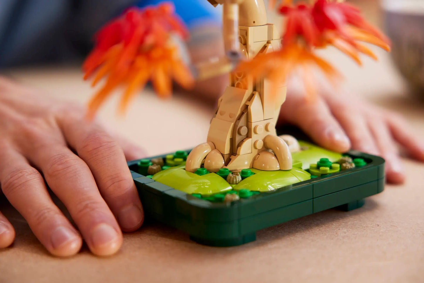 Botanicals: Japanese Red Maple Bonsai Tree Building Kit