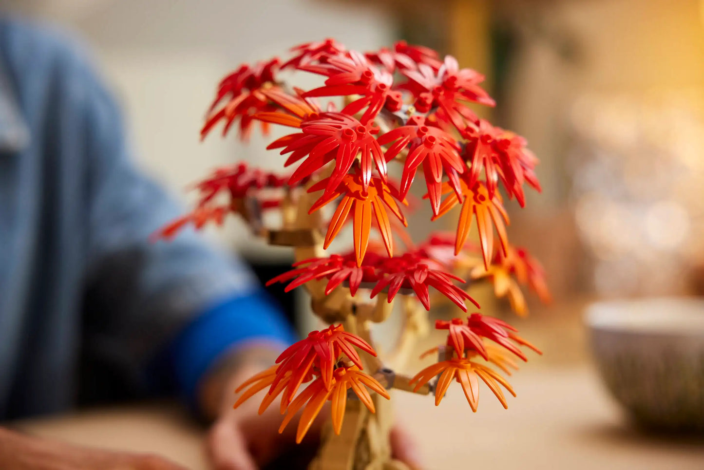 Botanicals: Japanese Red Maple Bonsai Tree Building Kit