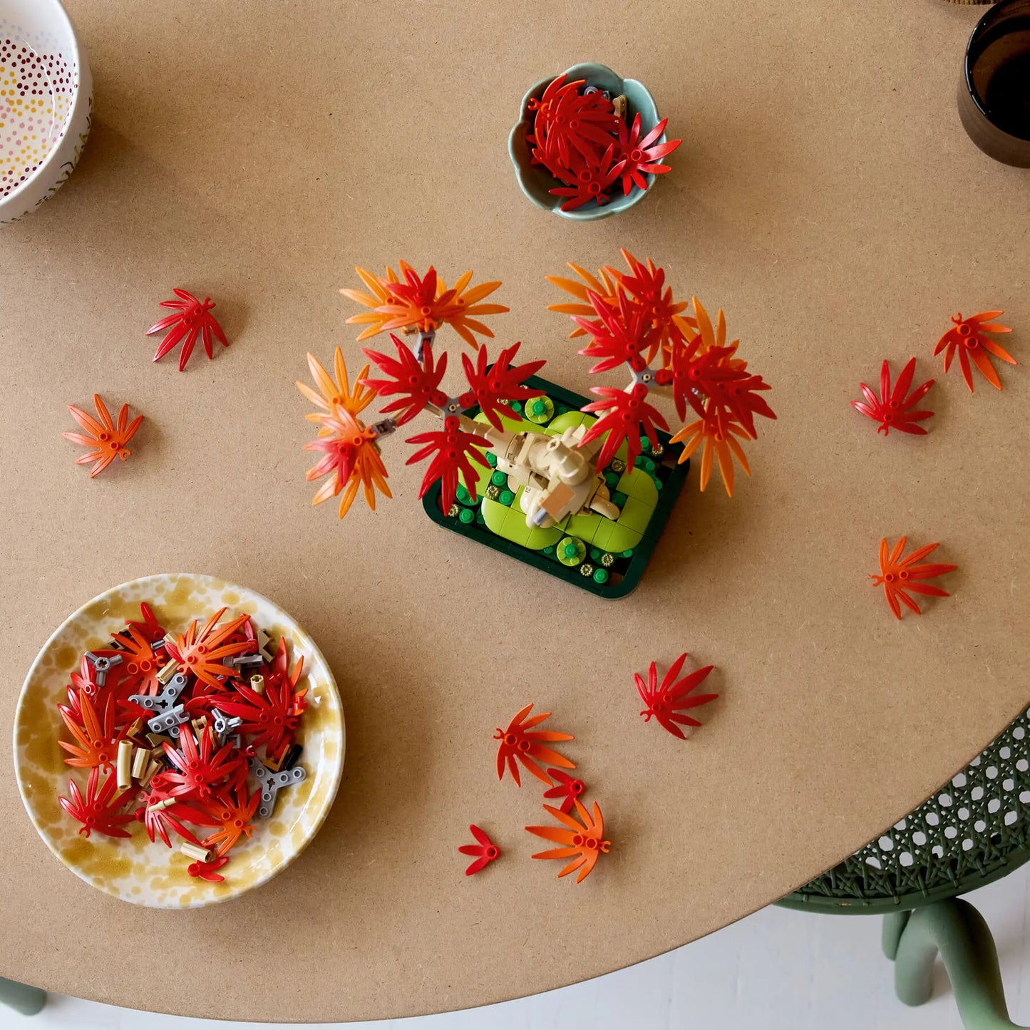 Botanicals: Japanese Red Maple Bonsai Tree Building Kit