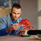 Botanicals: Japanese Red Maple Bonsai Tree Building Kit