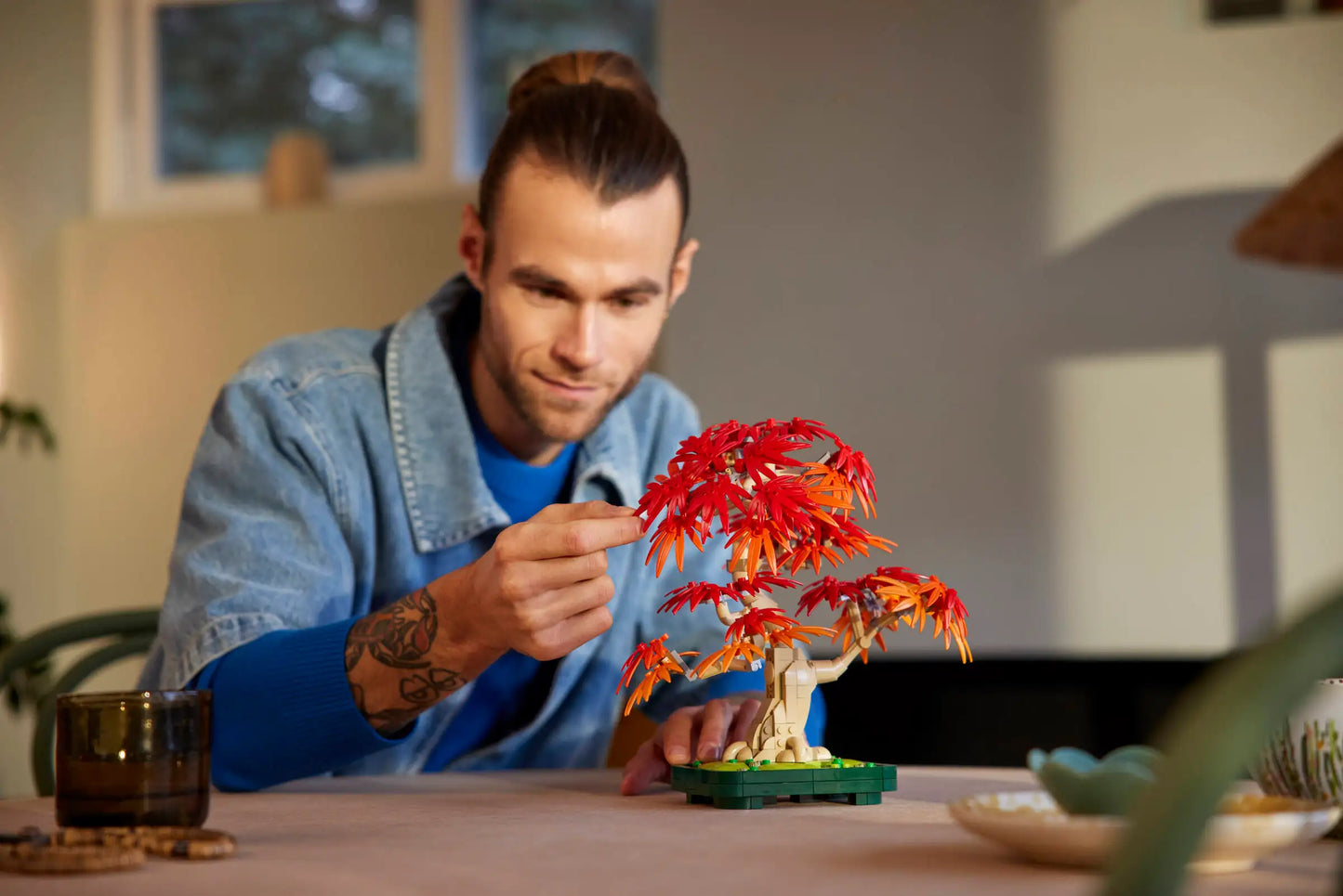 Botanicals: Japanese Red Maple Bonsai Tree Building Kit