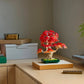 Botanicals: Japanese Red Maple Bonsai Tree Building Kit