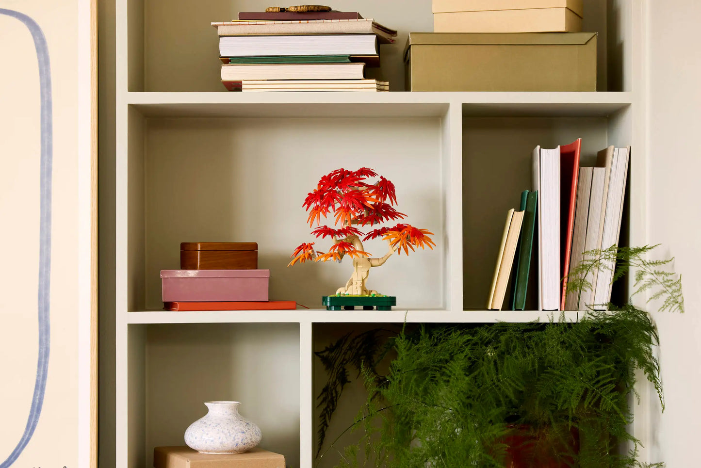 Botanicals: Japanese Red Maple Bonsai Tree Building Kit