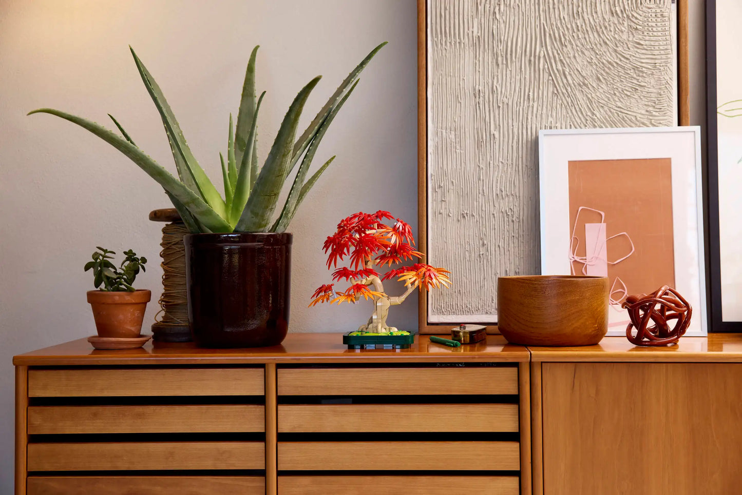 Botanicals: Japanese Red Maple Bonsai Tree Building Kit