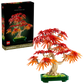 Botanicals: Japanese Red Maple Bonsai Tree Building Kit