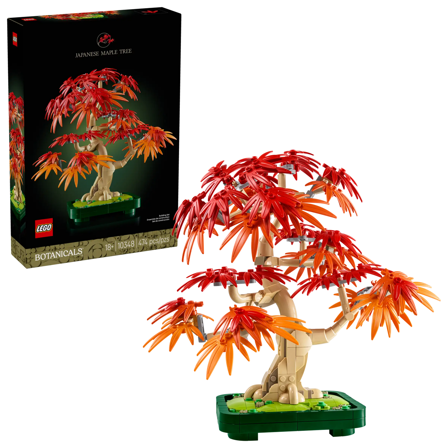 Botanicals: Japanese Red Maple Bonsai Tree Building Kit
