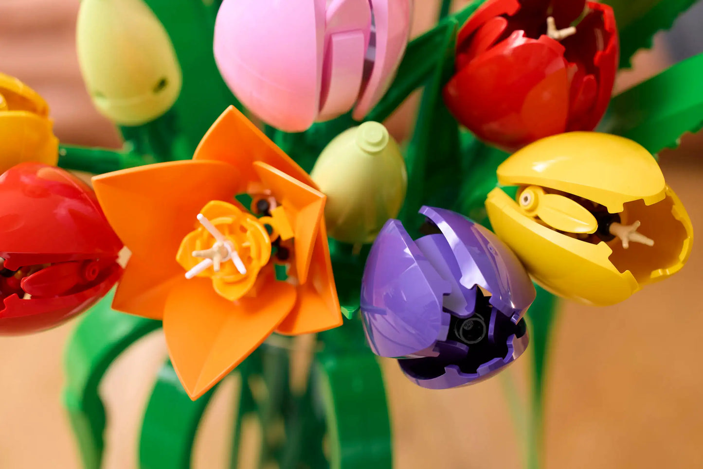 Botanical Collection: Tulip Bouquet Building Kit