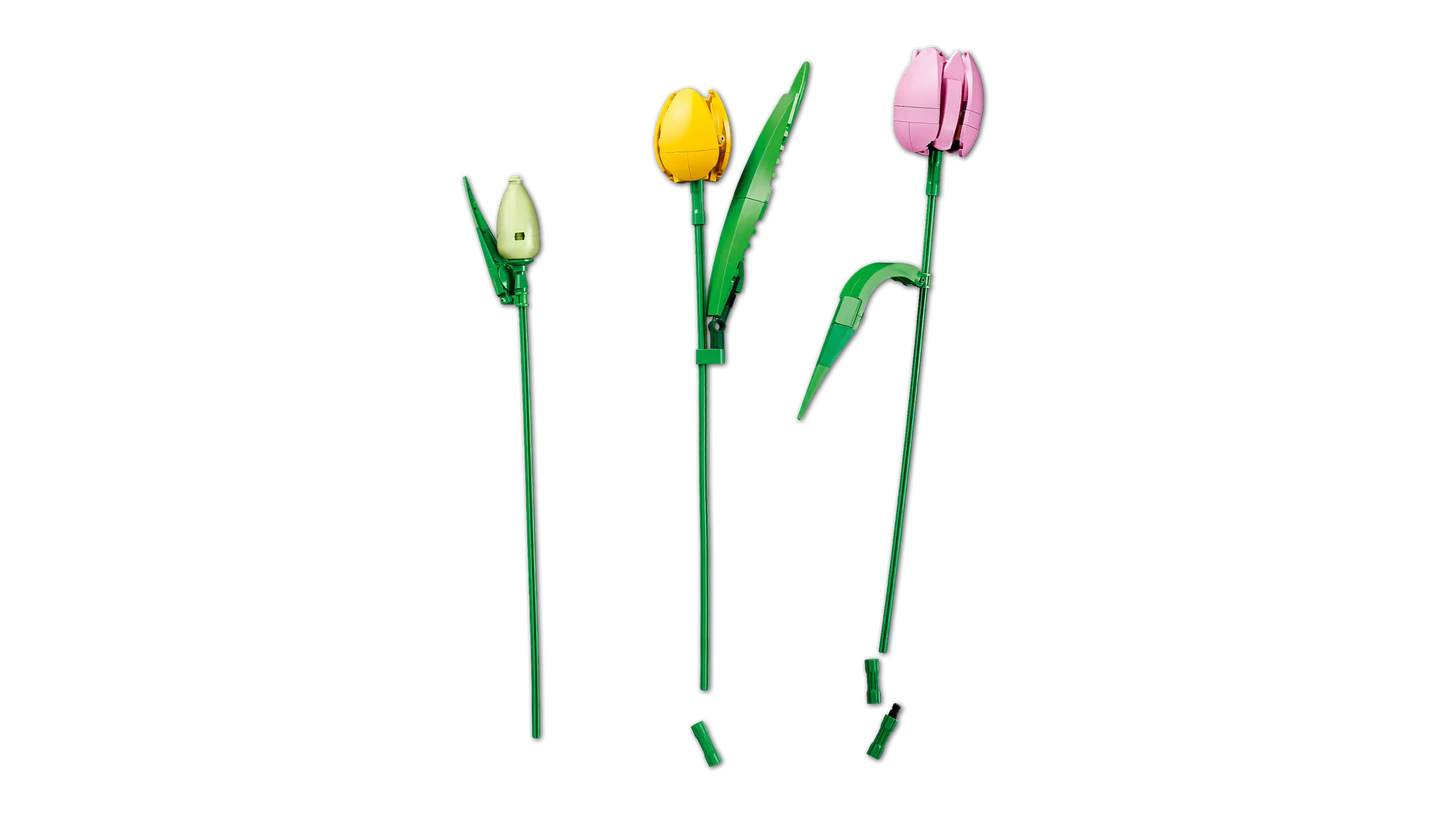 Botanical Collection: Tulip Bouquet Building Kit