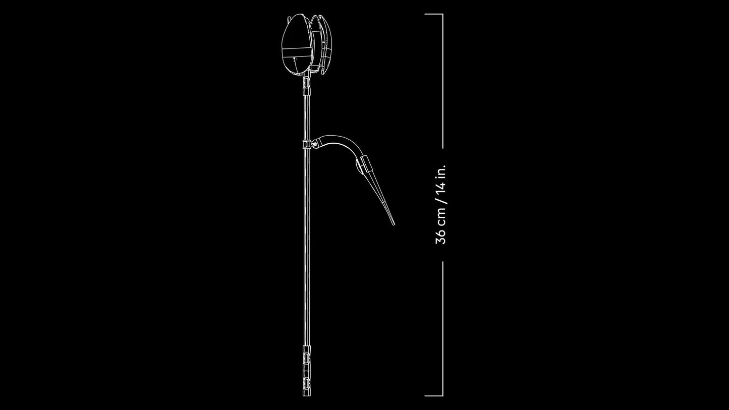 Botanical Collection: Tulip Bouquet Building Kit