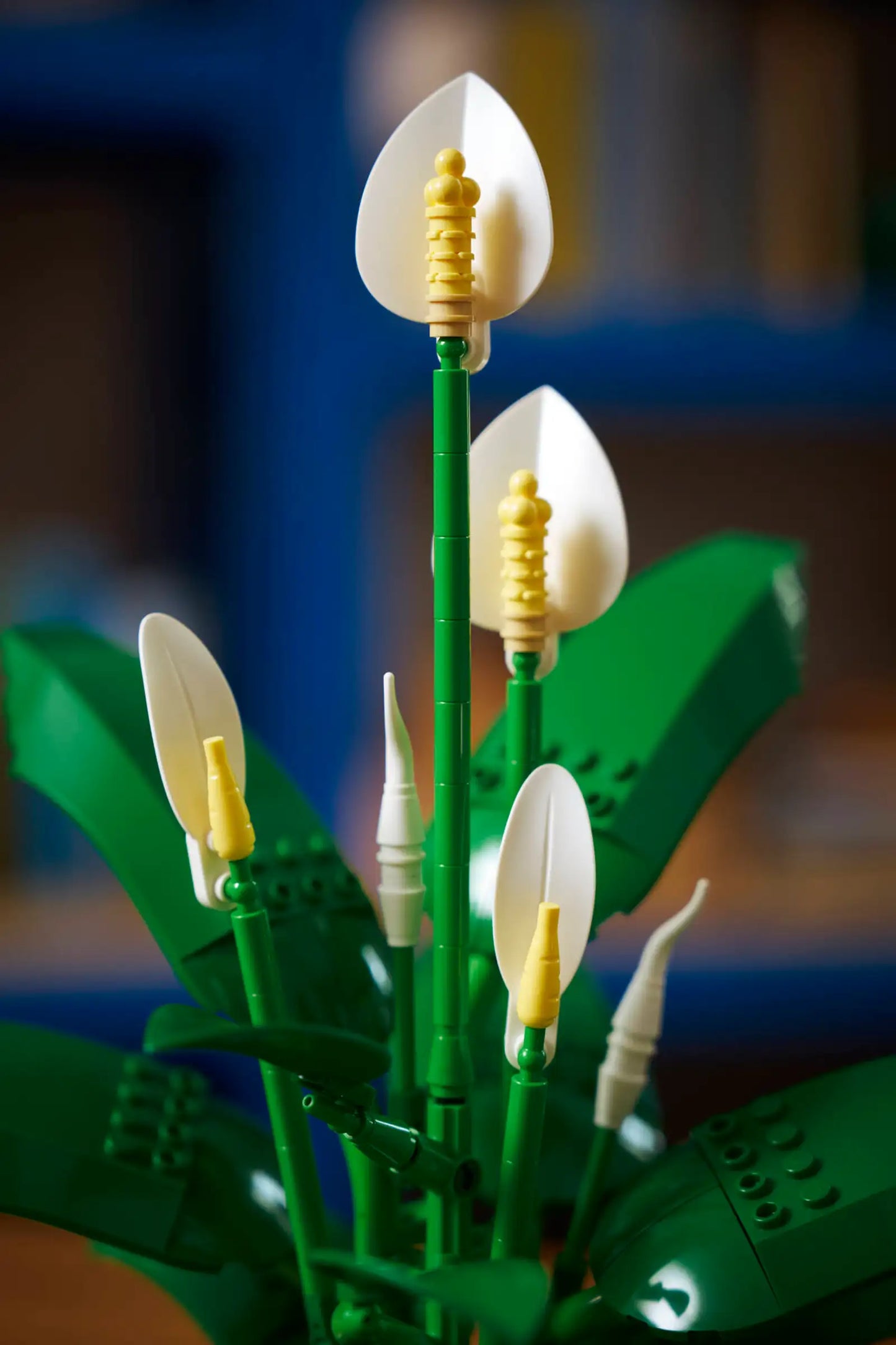 Botanical Collection: Peace Lily Building Kit
