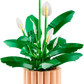 Botanical Collection: Peace Lily Building Kit