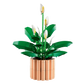 Botanical Collection: Peace Lily Building Kit