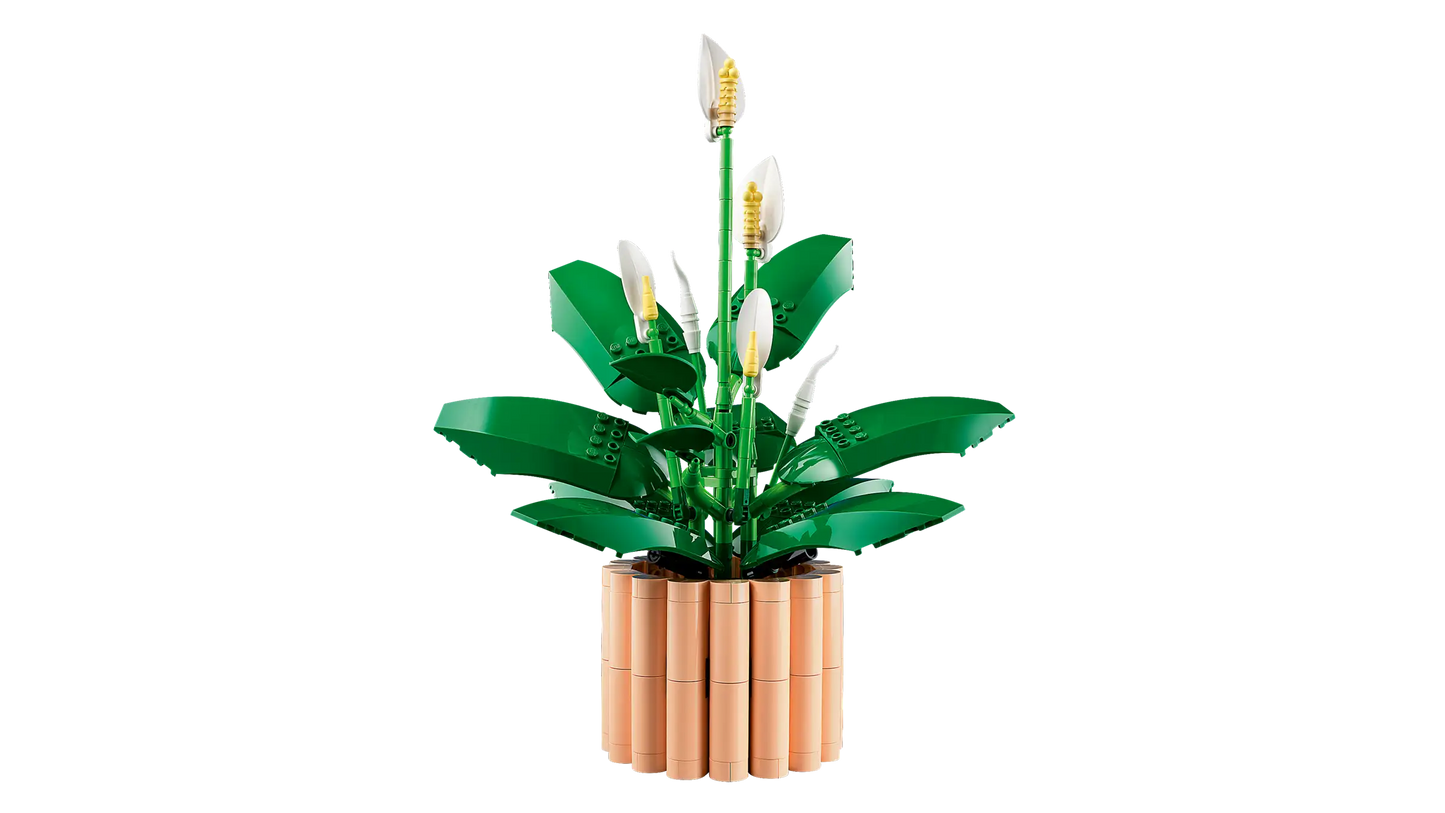 Botanical Collection: Peace Lily Building Kit