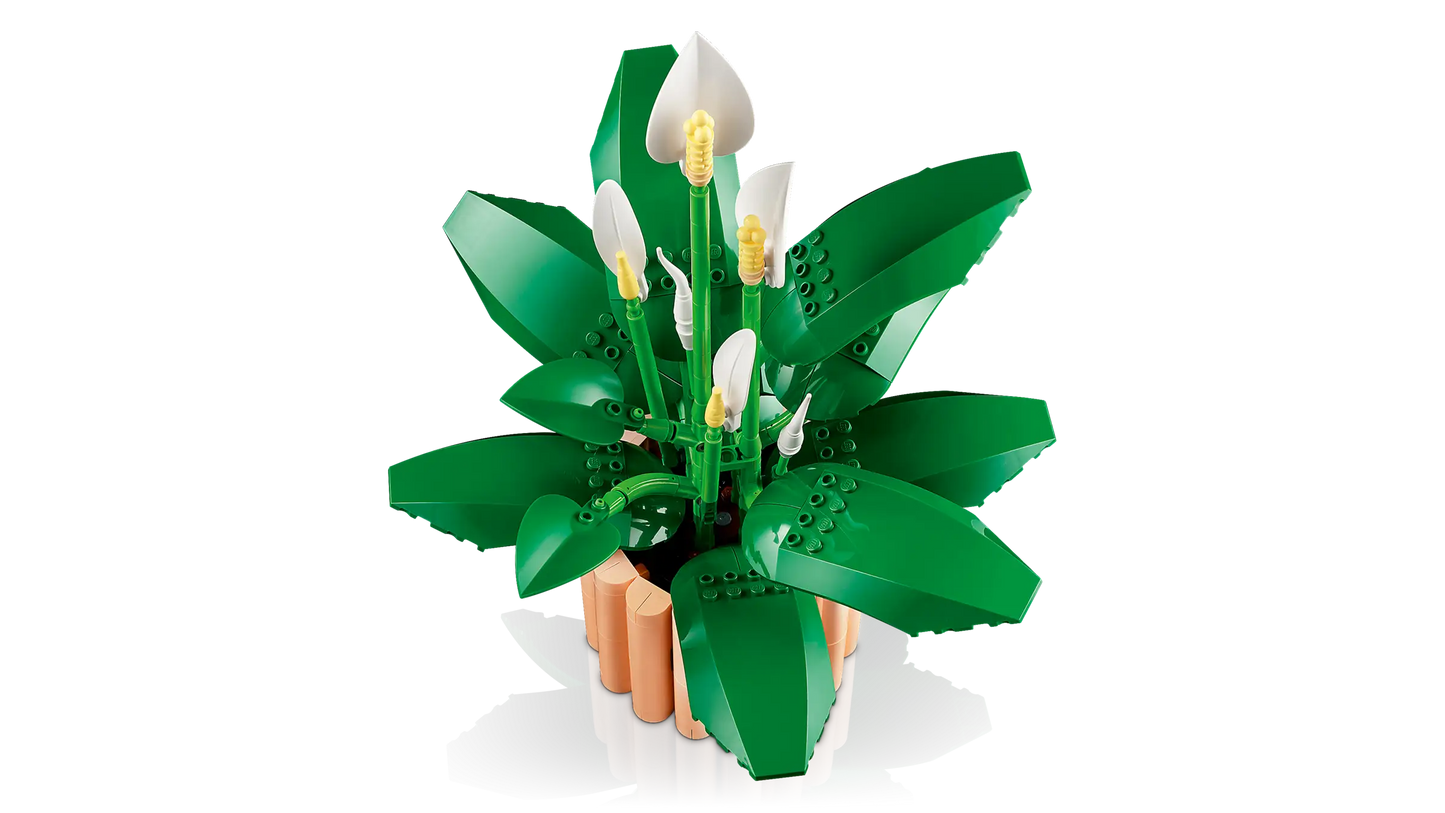 Botanical Collection: Peace Lily Building Kit