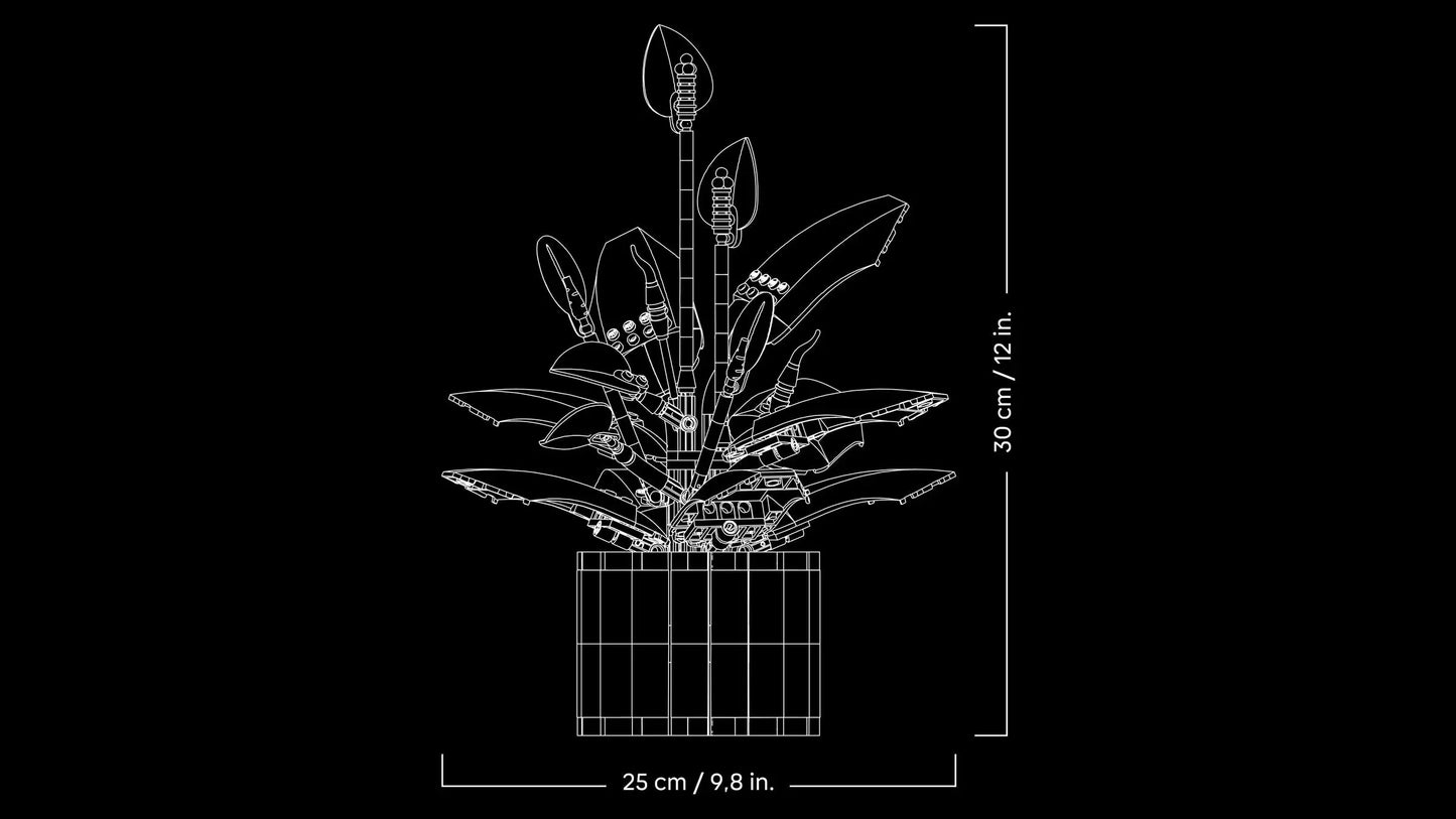 Botanical Collection: Peace Lily Building Kit