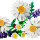 Botanical Collection: Daisies Building Kit