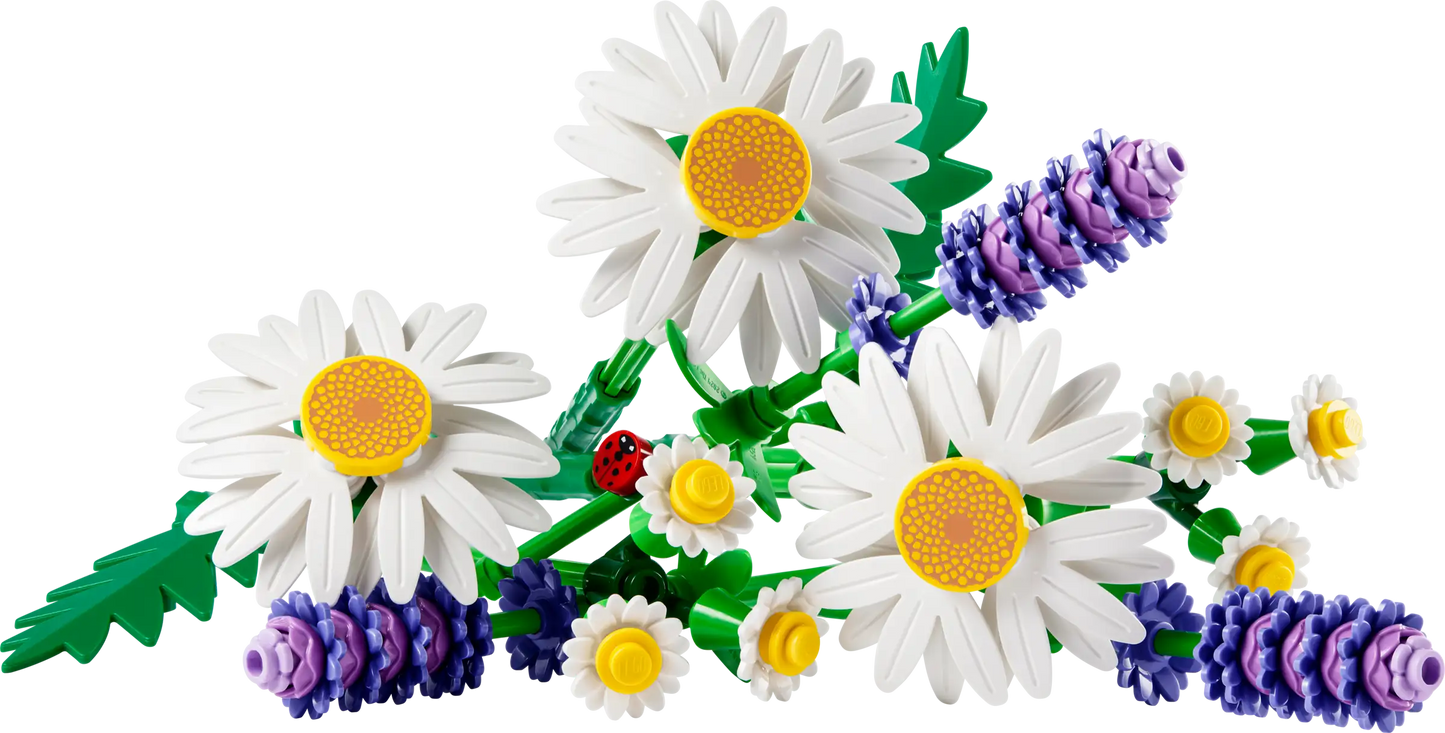 Botanical Collection: Daisies Building Kit