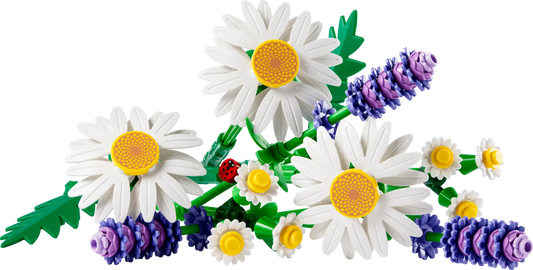 Botanical Collection: Daisies Building Kit