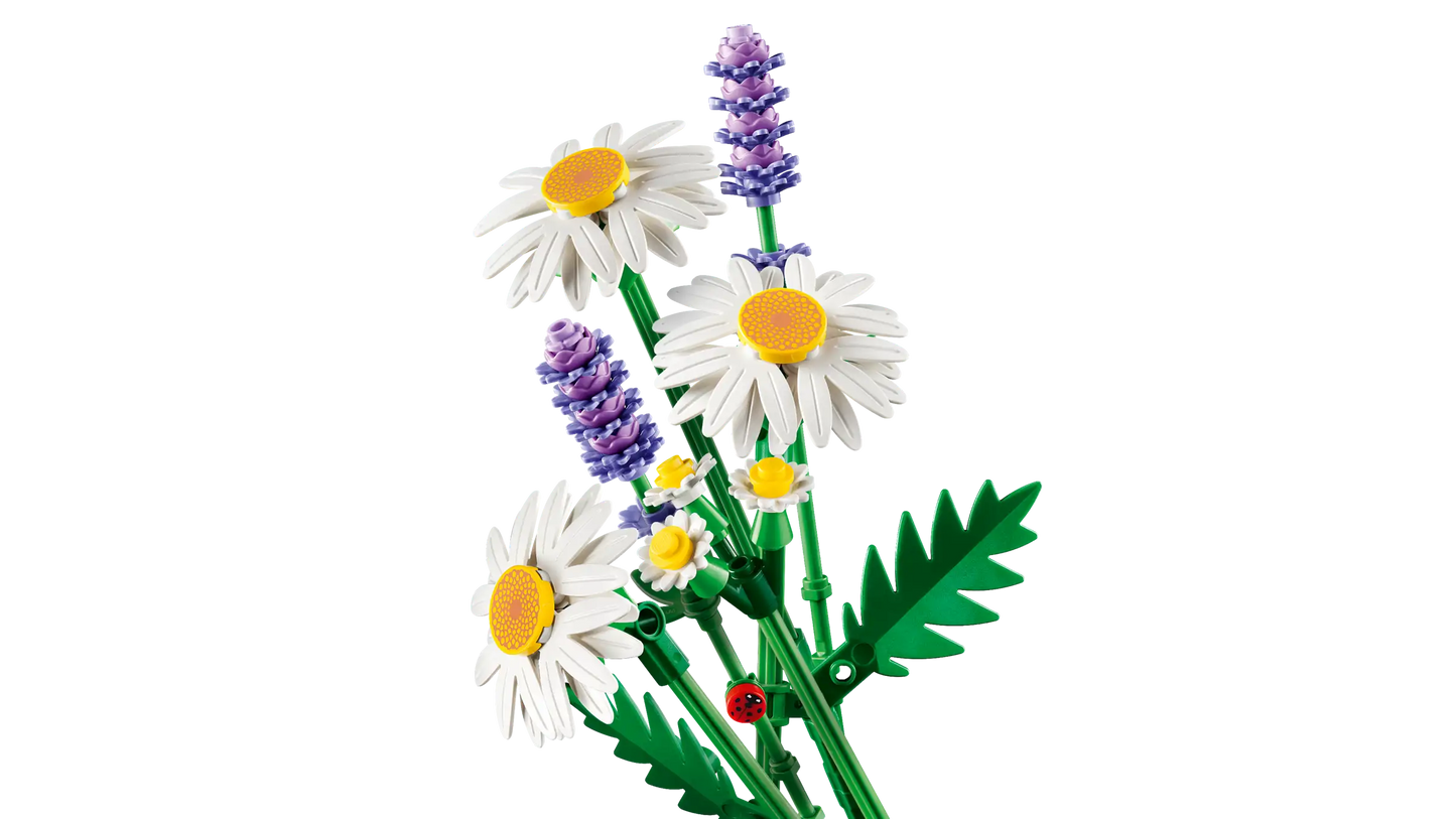Botanical Collection: Daisies Building Kit
